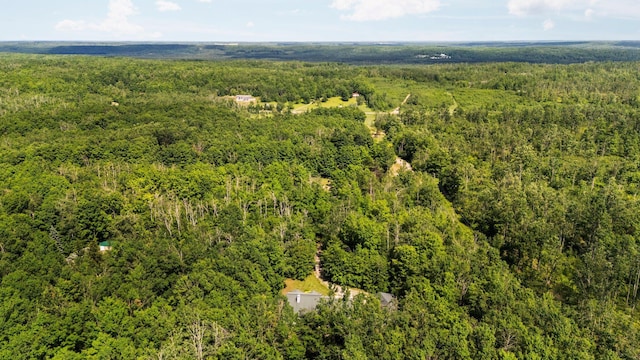 11974 Coyote Run, Gaylord, MI 49735 - photo 58
