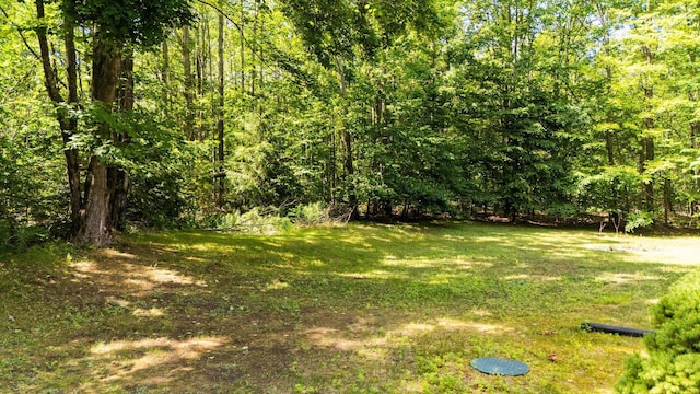 11974 Coyote Run, Gaylord, MI 49735 - photo 59