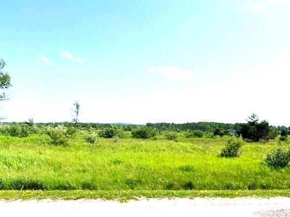 UNIT51 Sunset Blvd, Alanson, MI 49706
