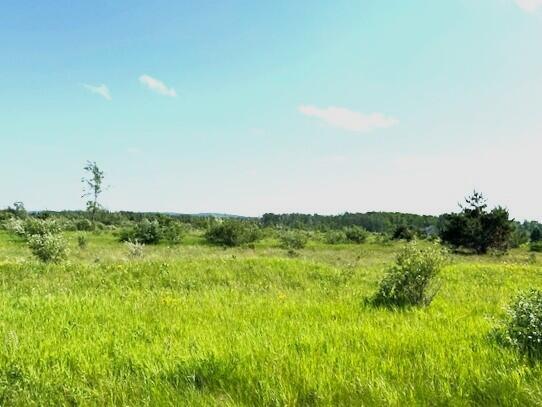 UNIT51 Sunset Blvd, Alanson, MI 49706