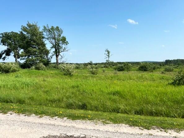 UNIT51 Sunset Blvd, Alanson, MI 49706