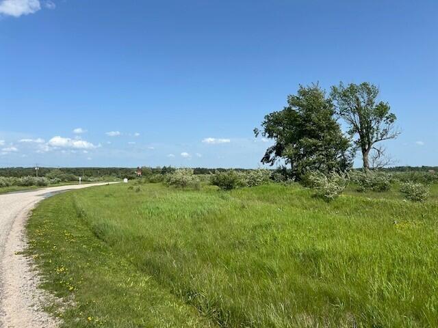 UNIT51 Sunset Blvd, Alanson, MI 49706