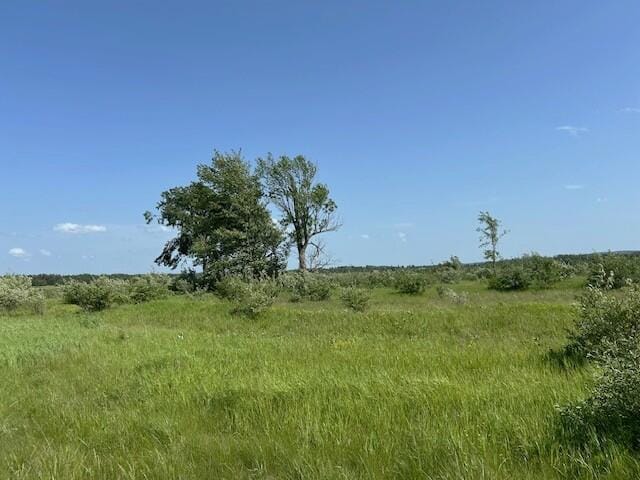 UNIT51 Sunset Blvd, Alanson, MI 49706