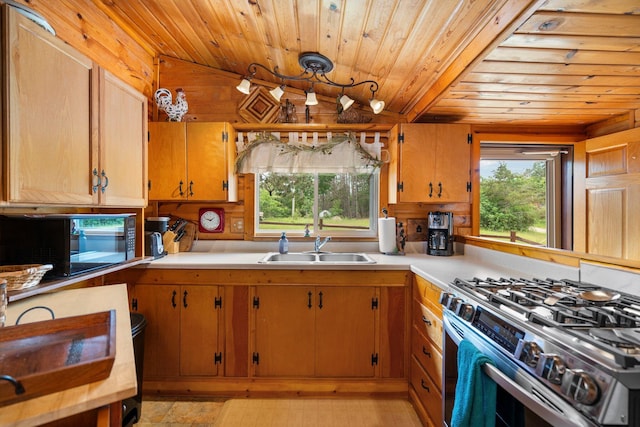 1960 Highbank Trl, Lewiston, MI 49756 - kitchen with black microwave, stainless steel gas range, wooden ceiling, and light countertops