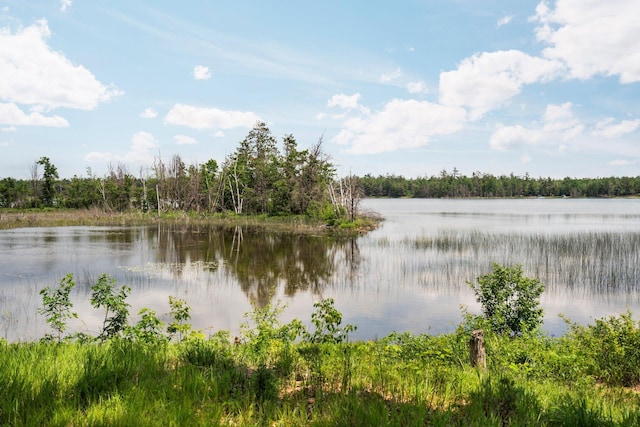 1960 Highbank Trl, Lewiston, MI 49756 - water view with a heavily wooded area