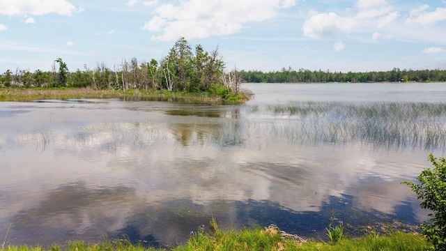 1960 Highbank Trl, Lewiston, MI 49756 - water view with a heavily wooded area