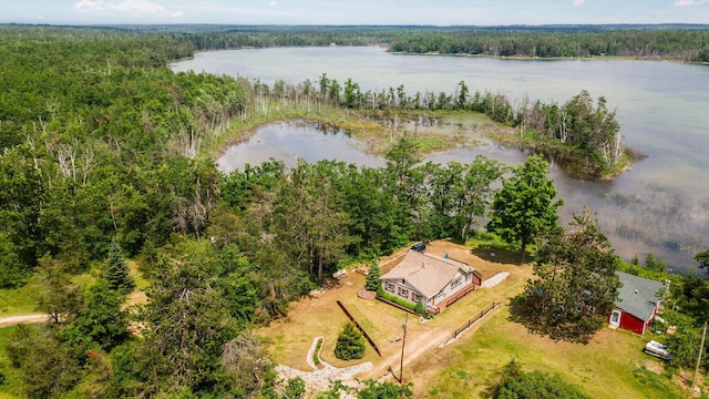 1960 Highbank Trl, Lewiston, MI 49756 - bird's eye view of a large body of water and a forest