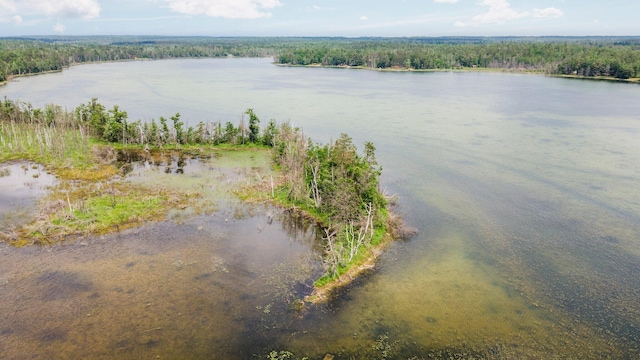 1960 Highbank Trl, Lewiston, MI 49756 - drone / aerial view of a large body of water and a forest