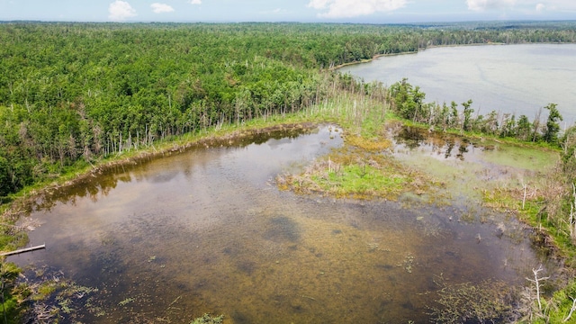 1960 Highbank Trl, Lewiston, MI 49756 - bird's eye view of a forest and a large body of water