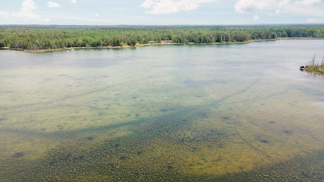 1960 Highbank Trl, Lewiston, MI 49756 - water view with a heavily wooded area