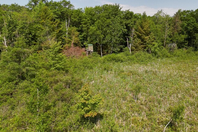 7001 Jasmyn Dr, Saint Helen, MI 48656 - photo 9