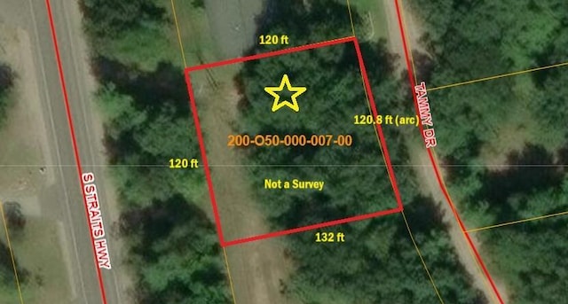 7402 Tammy Dr, Indian River, MI 49749 - photo 3