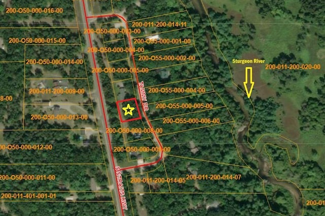 7402 Tammy Dr, Indian River, MI 49749 - photo 2