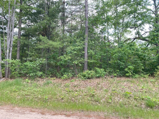 7402 Tammy Dr, Indian River, MI 49749 - photo 4