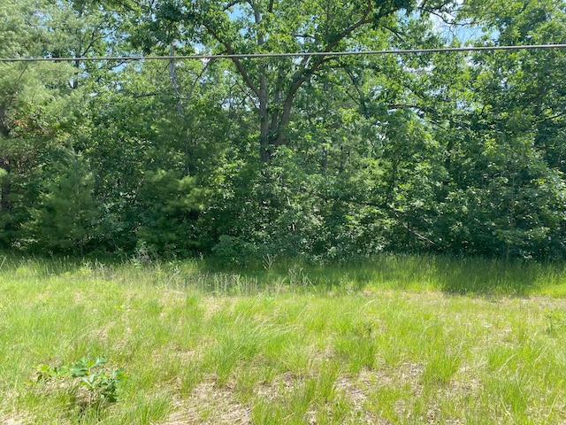 7402 Tammy Dr, Indian River, MI 49749 - photo 7