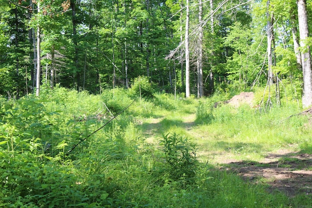 115acres Mcgahn, Germfask, MI 49836