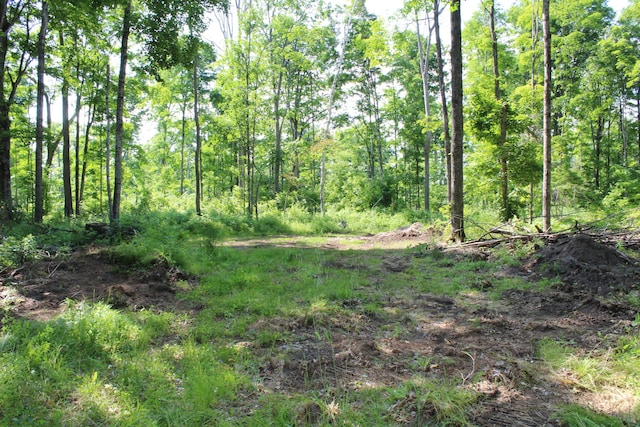 115acres Mcgahn, Germfask, MI 49836
