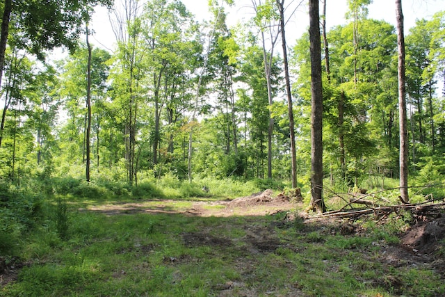 115acres Mcgahn, Germfask, MI 49836