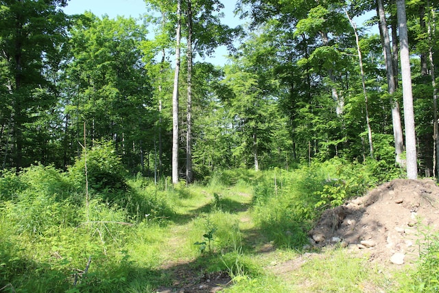 115acres Mcgahn, Germfask, MI 49836