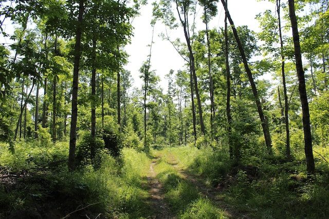 115acres Mcgahn, Germfask, MI 49836