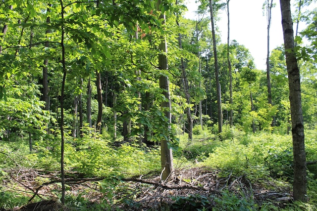 115acres Mcgahn, Germfask, MI 49836
