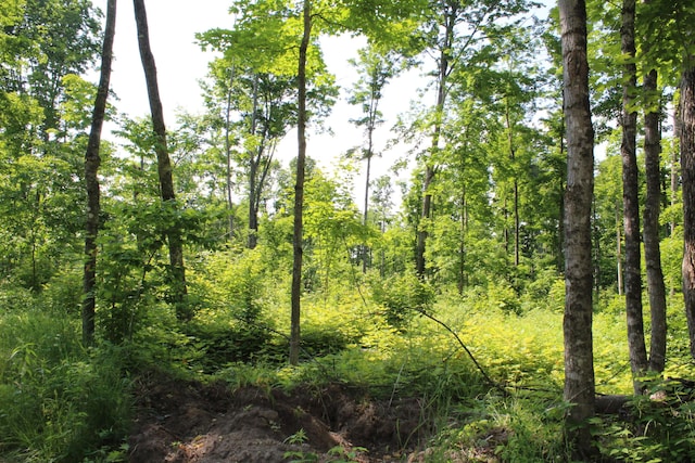 115acres Mcgahn, Germfask, MI 49836