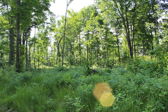 115acres Mcgahn, Germfask, MI 49836
