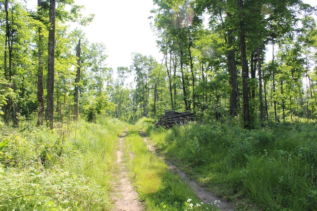 115acres Mcgahn, Germfask, MI 49836