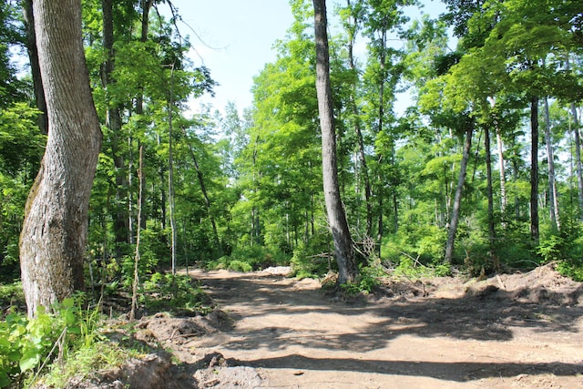 115acres Mcgahn, Germfask, MI 49836