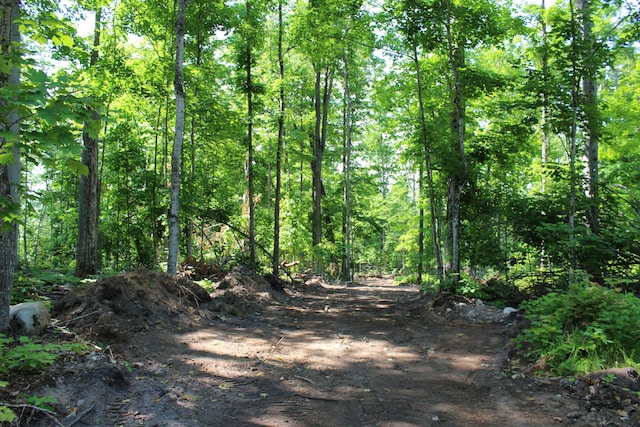 115acres Mcgahn, Germfask, MI 49836
