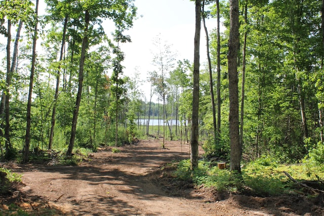 115acres Mcgahn, Germfask, MI 49836