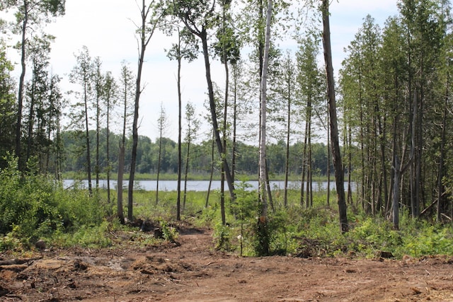 115acres Mcgahn, Germfask, MI 49836