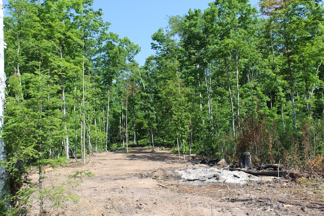 115acres Mcgahn, Germfask, MI 49836