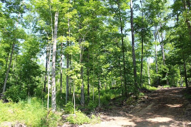 115acres Mcgahn, Germfask, MI 49836
