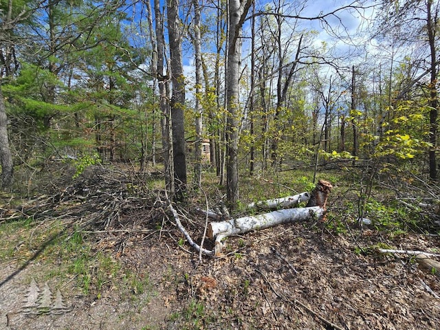3229 Nesslewood Dr, Lewiston, MI 49756 - photo 3