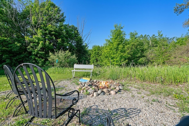 9660 Richardson Rd, Cheboygan, MI 49721 - view of yard