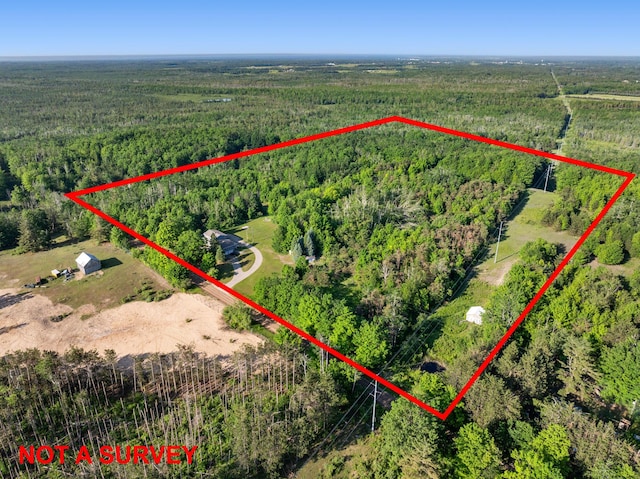 9660 Richardson Rd, Cheboygan, MI 49721 - view of property location featuring a forest and property parcel outlined