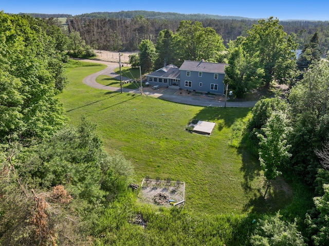 9660 Richardson Rd, Cheboygan, MI 49721 - view of subject property featuring a heavily wooded area