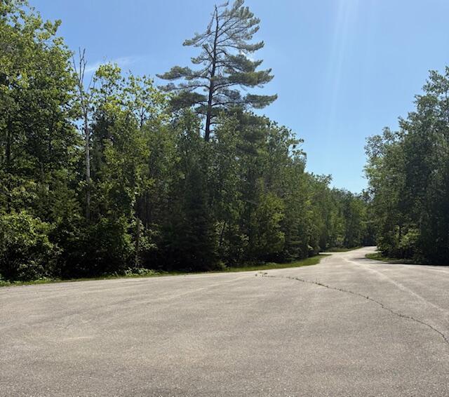 LOT15 Tip Top Ct, Presque Isle, MI 49777 - photo 5