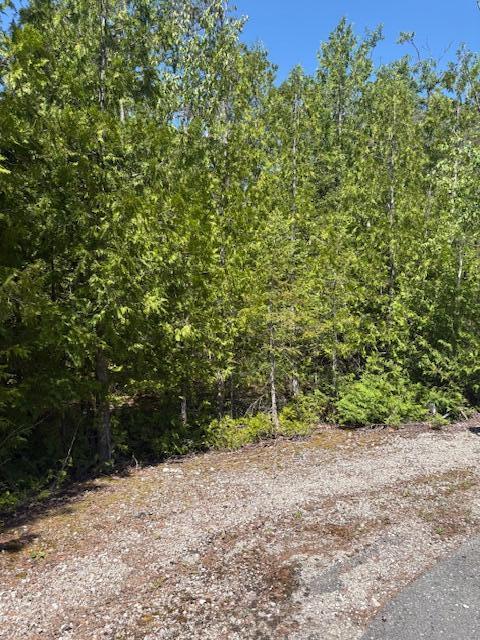 LOT15 Tip Top Ct, Presque Isle, MI 49777 - photo 1