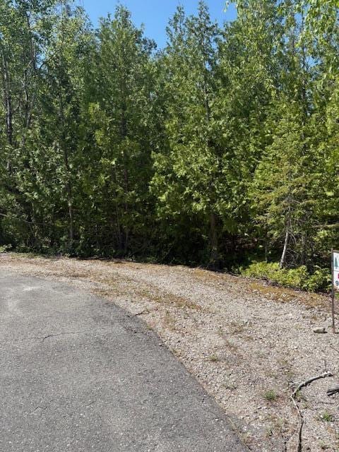 LOT15 Tip Top Ct, Presque Isle, MI 49777 - photo 4