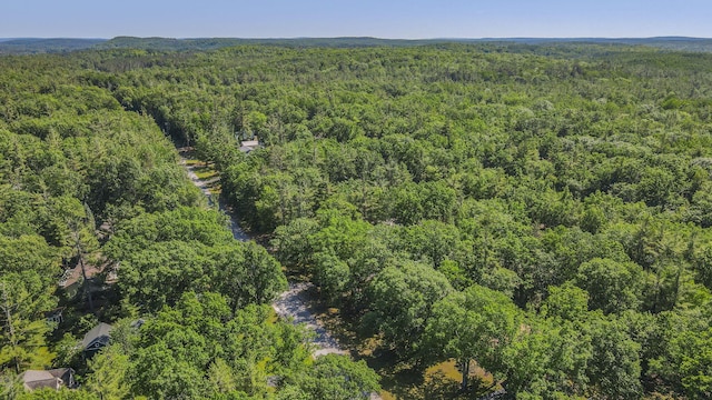 7950 Sturgeon Valley Dr, Indian River, MI 49749 - photo 38