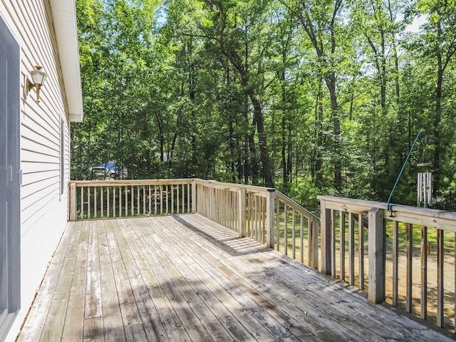 7950 Sturgeon Valley Dr, Indian River, MI 49749 - photo 32