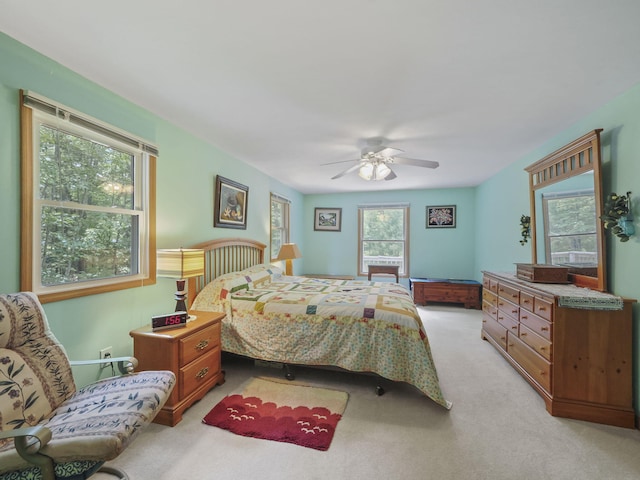 7950 Sturgeon Valley Dr, Indian River, MI 49749 - photo 20