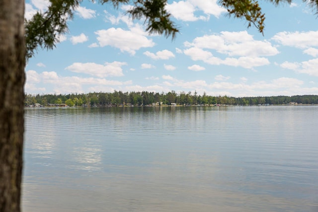 2061 Dreamers Ln, Lewiston, MI 49756 - water view featuring a forest
