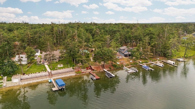 2061 Dreamers Ln, Lewiston, MI 49756 - drone / aerial view of a forest and a large body of water