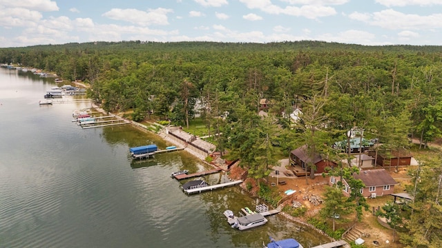 2061 Dreamers Ln, Lewiston, MI 49756 - bird's eye view of a forest and a large body of water