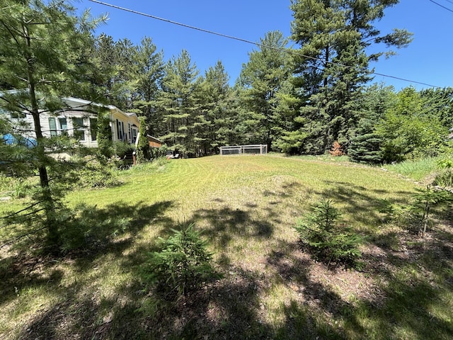 10604 Adams St, Ossineke, MI 49766 - view of yard featuring a view of trees