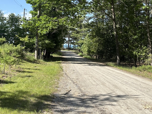 10604 Adams St, Ossineke, MI 49766 - view of dirt / gravel road