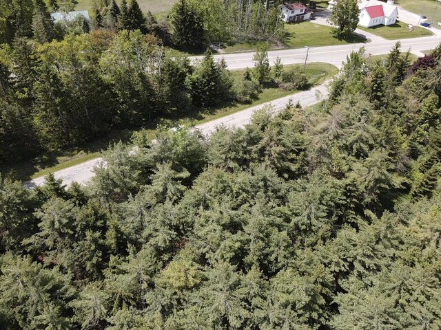 LOT2 E E W Resort Rd, Alanson, MI 49706 - photo 4